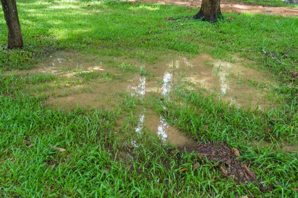 Cost of Storm Water Drainage Service in Fairfax