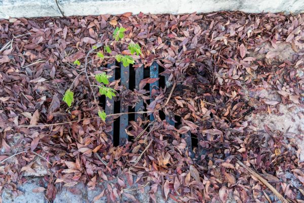 Cost of Yard Drain Unclogging in Fairfax