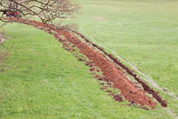 Cost of Swale Installation in Fairfax