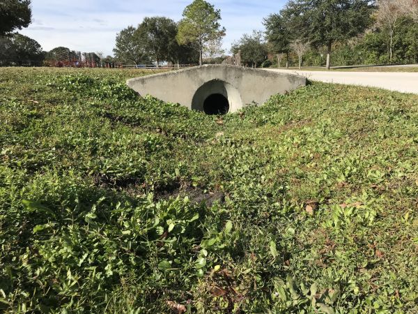 Cost of Swale Drainage Service in Fairfax